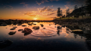 Public Sector Bid Utopia: A Vision of an Extraordinary Future