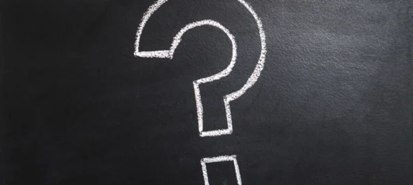 Questions Before You Bid